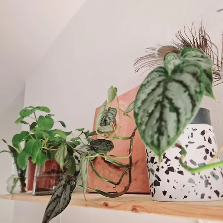 别墅 Mirakai 宏达海滩