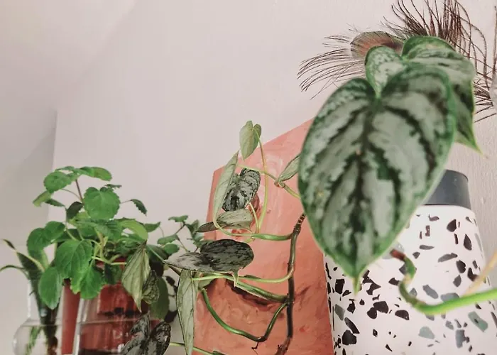 Villa Mirakai Playa Honda (Lanzarote)